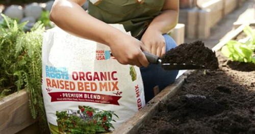 Possible Free Back to the Roots Premium Organic Soil with Social Nature